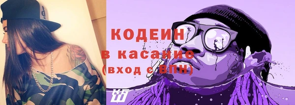 прущие грибы Магас