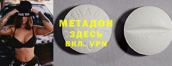 прущие грибы Магас