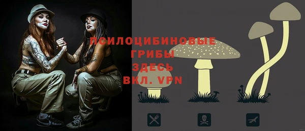 прущие грибы Магас