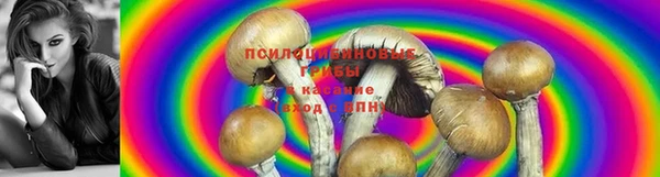 герыч Майский