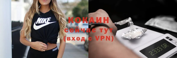 прущие грибы Магас