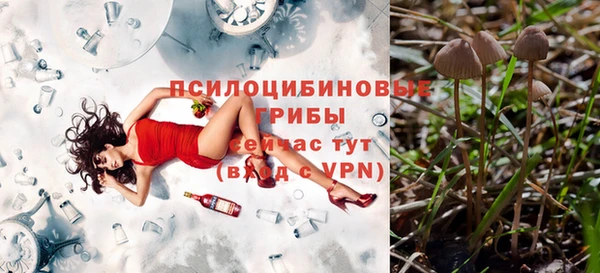 герыч Майский