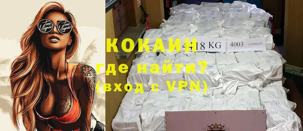 прущие грибы Магас