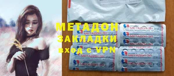 прущие грибы Магас